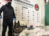 KAPIKULE’DE SAKSILARA GİZLENMİŞ UYUŞTURUCU ELE GEÇİRİLDİ