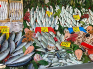 300 TL’LİK HAMSİ, EDİRNELİLERİN GÖZDESİ