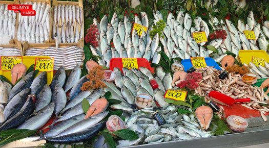 300 TL’LİK HAMSİ, EDİRNELİLERİN GÖZDESİ