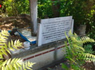 EDİRNE’NİN BÜYÜK ALİMİNİN KABRİ KADERİNE TERK EDİLDİ