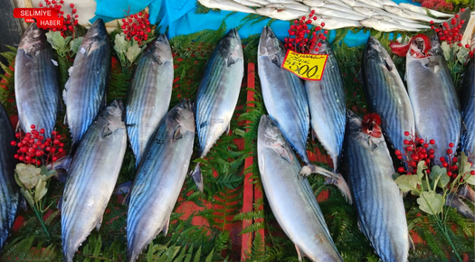 TORİK BEREKETİ, EDİRNE TEZGAHLARINA YANSIDI