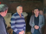 SÜT DESTEKLENMEZSE HAYVANCILIK CAZİP OLMAZ