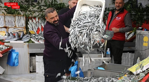 HAMSİDE BÜYÜK DÜŞÜŞ: 400 LİRADAN 50 LİRAYA GERİLEDİ