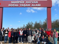 EDİRNE’DE SAHİPSİZ HAYVANLAR İÇİN ÇALIŞMA YÜRÜTÜLDÜ