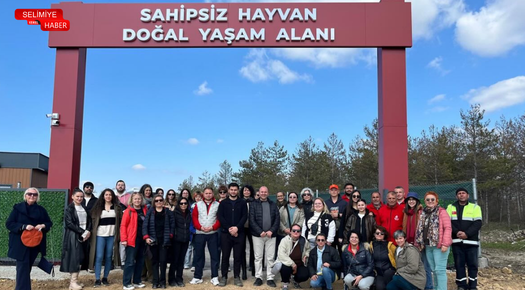 EDİRNE’DE SAHİPSİZ HAYVANLAR İÇİN ÇALIŞMA YÜRÜTÜLDÜ