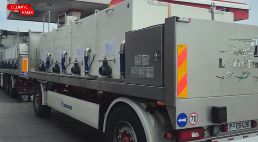 ARNAVUTLUK’A 350 BİN YAVRU LEVREK İHRACATI