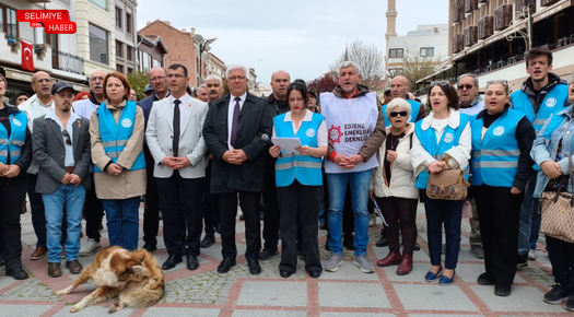 VELİ-DER’DEN OKULLARDA ARTAN ŞİDDET OLAYLARINA TEPKİ