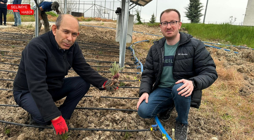 TRAKYA ÜNİVERSİTESİ’NDE TEMİZ ENERJİ VE TARIM PROJESİ