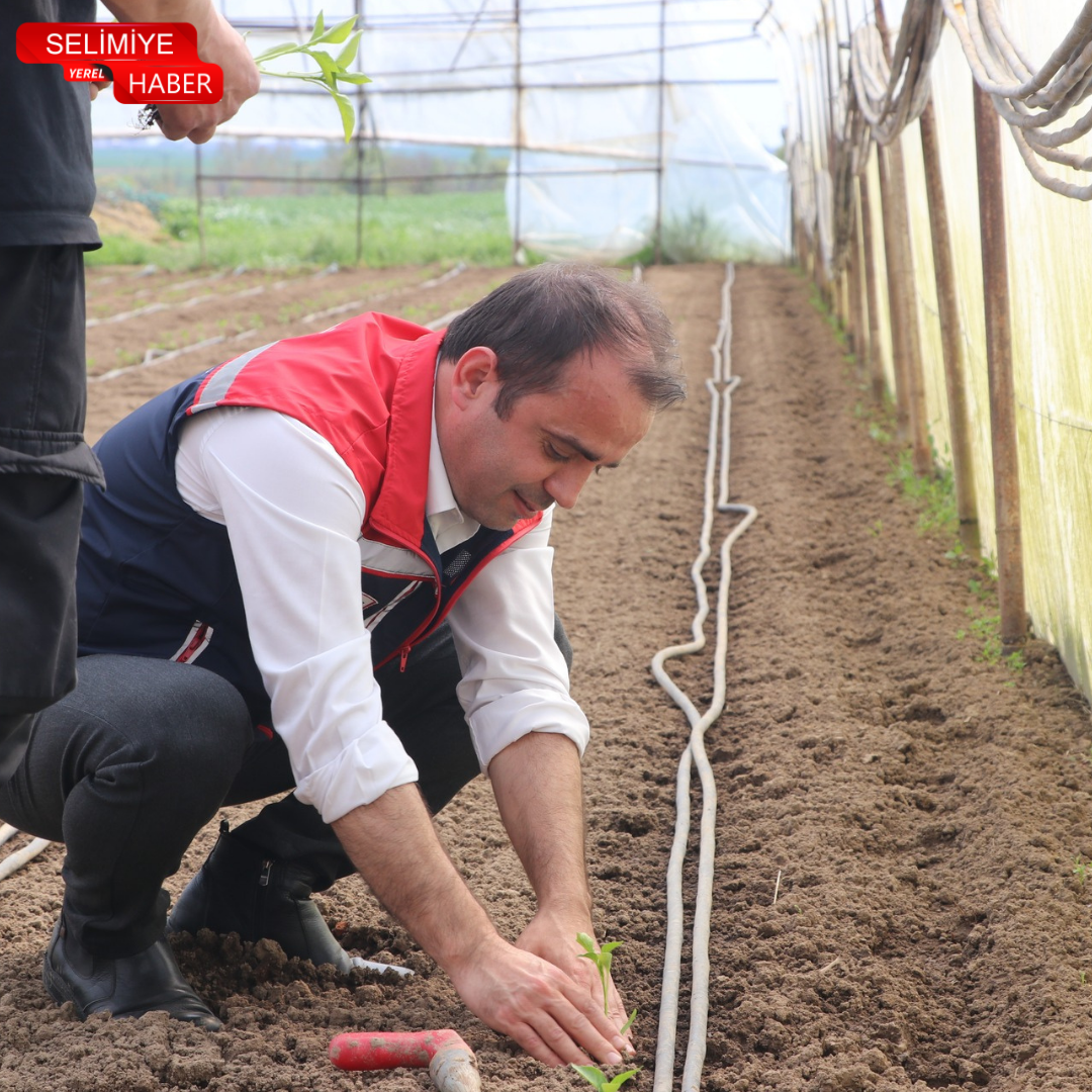 İSLAM KÖSE SERALARDA SAHA İNCELEMESİ