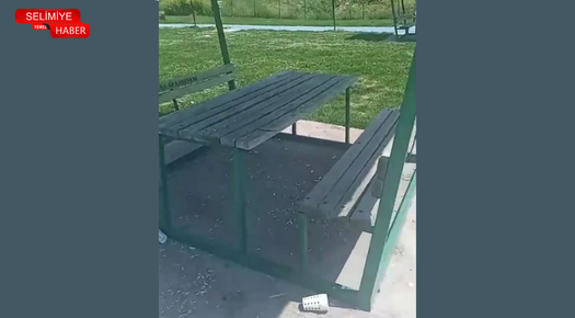 VATANDAŞA YAKIŞMAYAN HAREKET