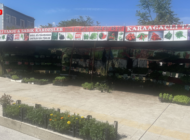 FİDE ÜRETİCİLERİ DERTLİ