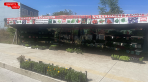 FİDE ÜRETİCİLERİ DERTLİ