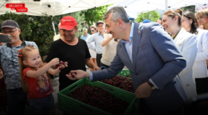ENEZ’DE COĞRAFİ İŞARETLİ ÇERİBAŞI KİRAZI İÇİN HASAT HEYECANI