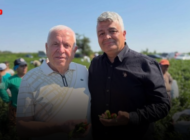 KARAAĞAÇ ACI BİBERİ HASADI BAŞLADI