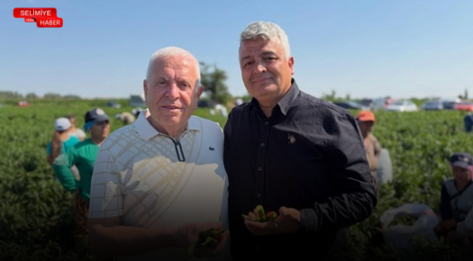 KARAAĞAÇ ACI BİBERİ HASADI BAŞLADI