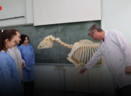 FEN FAKÜLTESİ BİYOLOJİ ÖĞRENCİLERİNDEN DOĞA TARİHİ MÜZESİ’NE BİLİMSEL KATKI