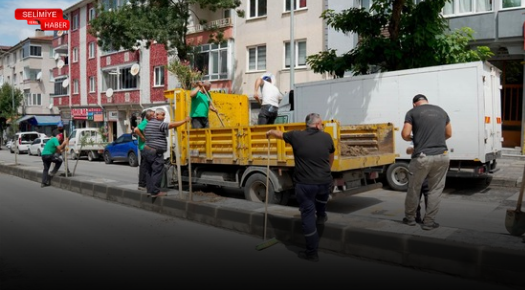 KIYIK CADDESİ’NDE ORTA REFÜJ FİDAN DİKİMLERİ BAŞLADI