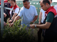 İPSALA’DA YABAN MERSİNİ HASADI BAŞLADI