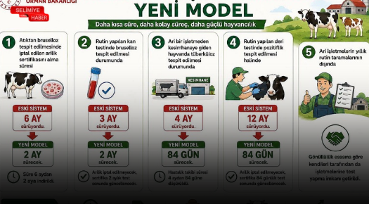 HASTALIKTAN ARİ İŞLETMELER PROGRAMI YENİLENİYOR: ÜRETİCİYE DAHA HIZLI VE GÜÇLÜ DESTEK