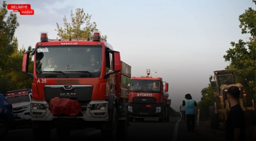 EDİRNE’DE ORMAN YANGINI: EKİPLER HAVADAN VE KARADAN MÜDAHALE EDİYOR