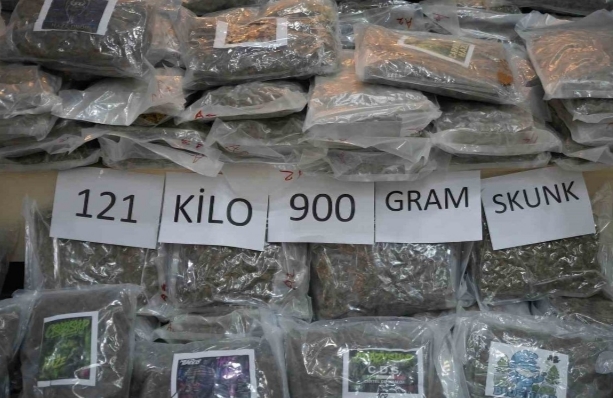 121 kilo 900 gram skunk ele geçirildi